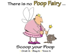 Poop-fairy