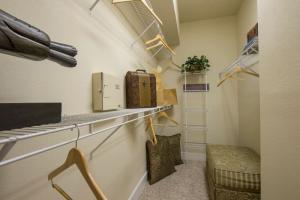 Two Bedroom Apartments in SW Houston, Texas - Classic Model Closet